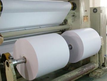 Single Layer Self Adhesive Glossy Thermal Label Paper Roll For Long Lasting Image Life