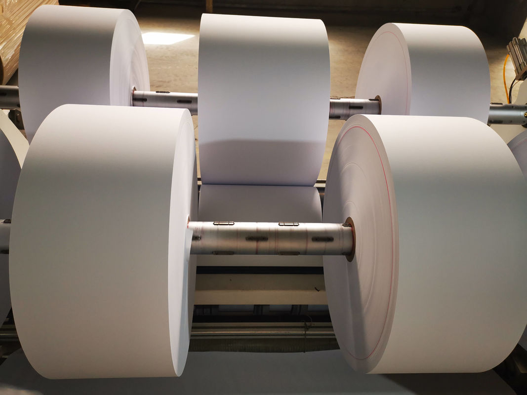 Focus Brand 100% Virgin Wood Pulp Thermal Paper Jumbo Roll Width 762-1270mm