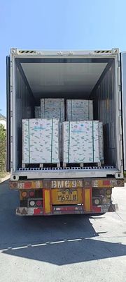 NCR Kopya Kağıdı A Sınıfı Küçük Siyah/Mavi Resim 50/55/75GSM Karbonsuz Kağıt