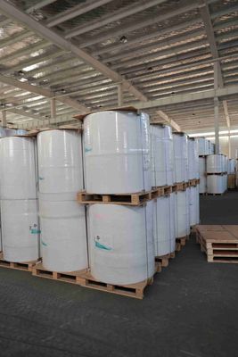 POS Makbuzları İçin BPA İçermeyen Termal Kağıt Rulo, ATM Yazıcı Kağıdı, Yağa Dayanıklı Termal Rulo – 5+ Yıl Görüntü Ömrü