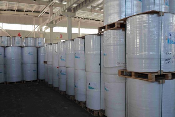 BPA İçermeyen Focus Marka Termal Kağıt Yüksek Pürüzsüzlük Uygun Optik Yoğunluk %100 İthal Odun Hamuru